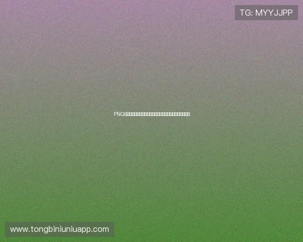 PNG电子章在世界杯赛事官方公告与宣传资料中的具体使用方法